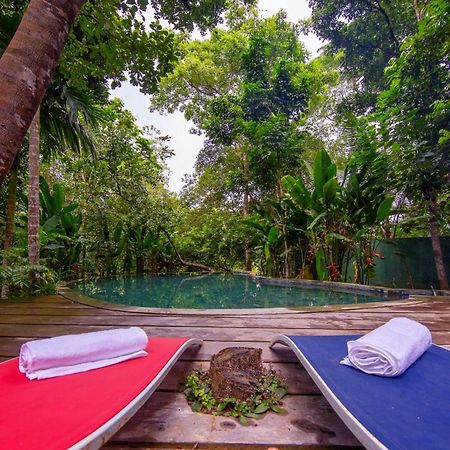 Wild Nest Villa Унаватуна Экстерьер фото