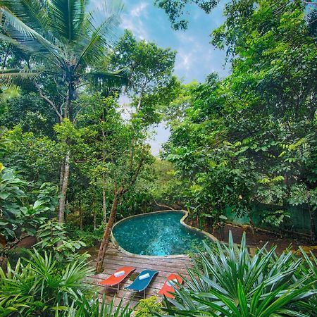 Wild Nest Villa Унаватуна Экстерьер фото